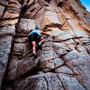 Meet your Posher, Dalton